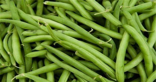 Người nông dân đang thực hiện việc gieo hạt đậu nành xuống đất tơi xốp